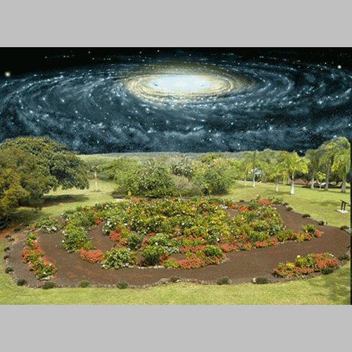 Galaxy Garden composite view - Photomontage by Jon Lomberg